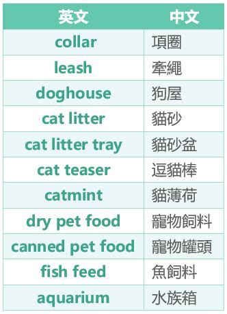 寵物 用品 英文